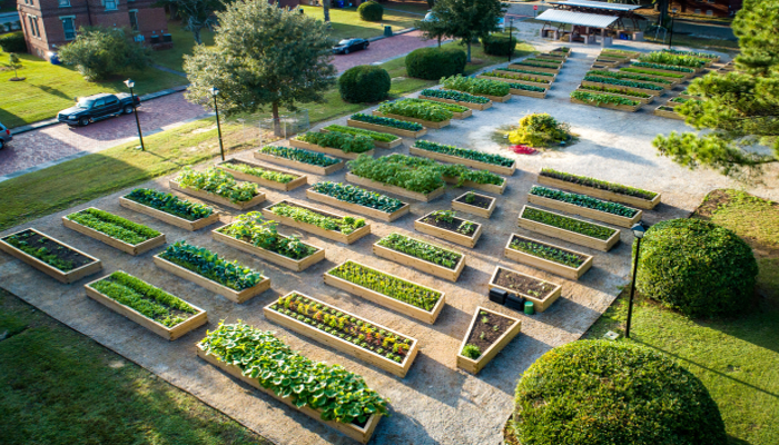 Pertanian Perkotaan, Urban Farming Semakin Maju!