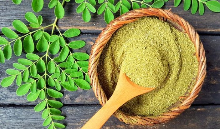 Daun Kelor Di Kenal Sebagai Pohon Ajaib Karena Manfaatnya
