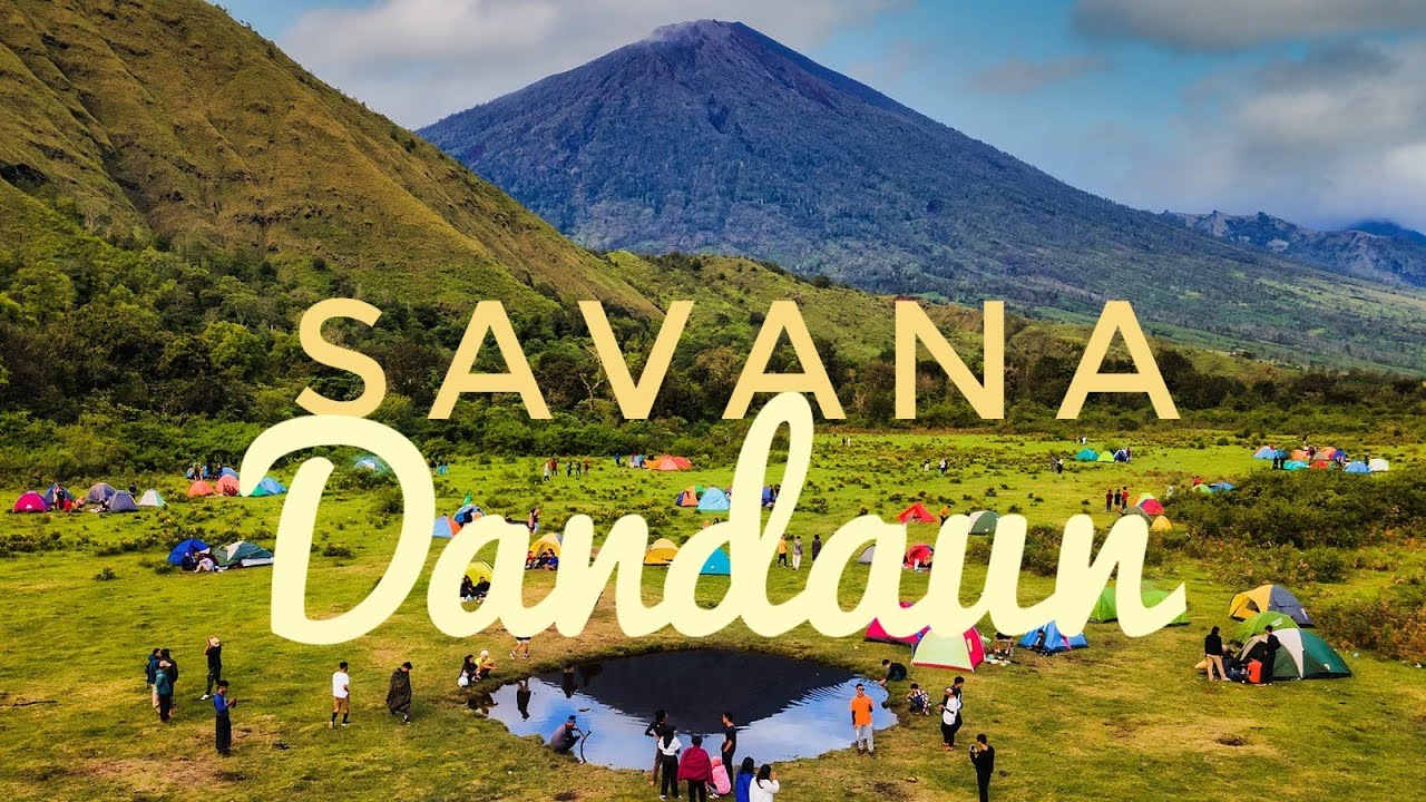 Keindahan Savana Dandaun Yang Di Juluki “Permadani Alam”