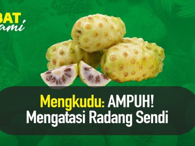 Khasiat Mengkudu Untuk Kesehatan