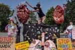 Kampanye Anti Plastik Kreatif