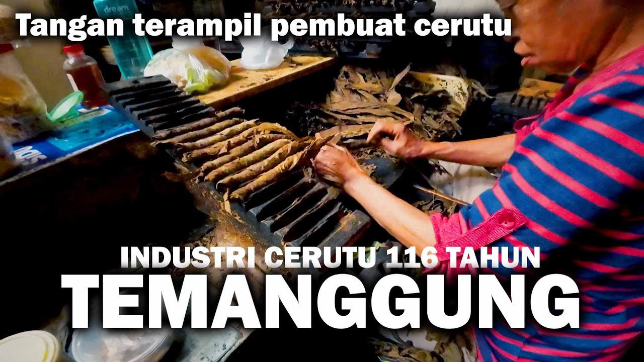 Sejarah Rokok Cerutu: Dari Tradisi Kuno Hingga Industri Modern