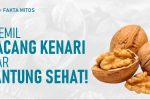 Manfaat Kacang Walnut