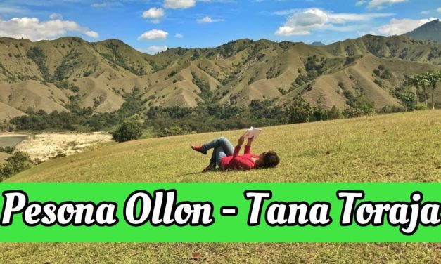 Liburan Ke Bukit Ollon: Menyusuri Keindahan Alam Toraja