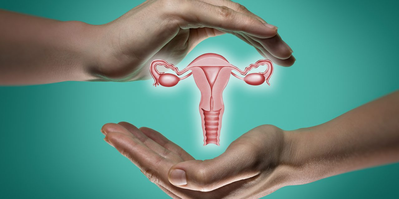 Reproductive Health Pilar Kesejahteraan Dan Kehidupan