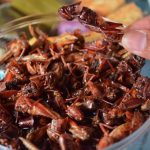 Kuliner Ekstrem Belalang Goreng Khas Gunung Kidul