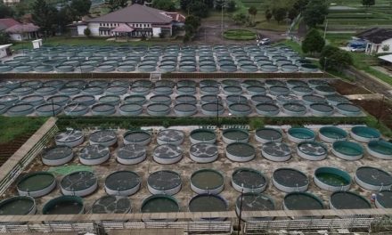 Sistem Bioflok Pada Budidaya Perikanan Menjadi Kegiatan Populer