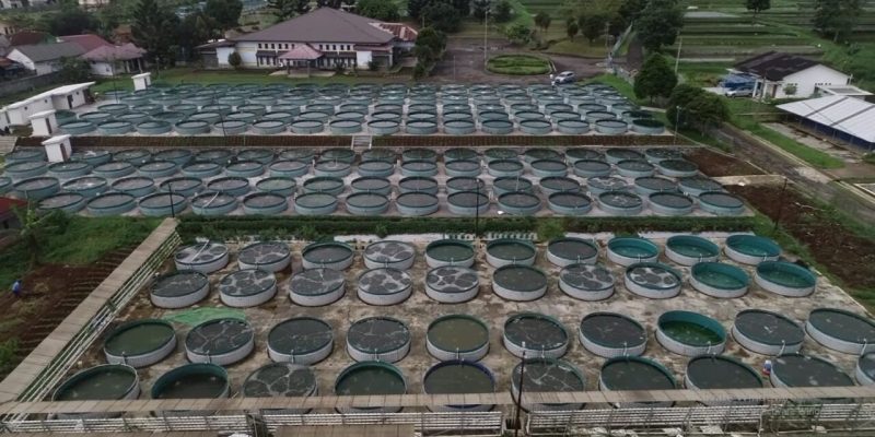 Sistem Bioflok