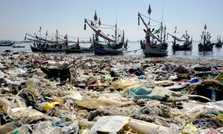 Hidup Tanpa Plastik, Tantangan Era Sekarang Menghadapi Limbah