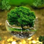 Mengapa Penting Menjaga Ekosistem Biodiversitas?