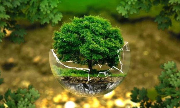 Mengapa Penting Menjaga Ekosistem Biodiversitas?