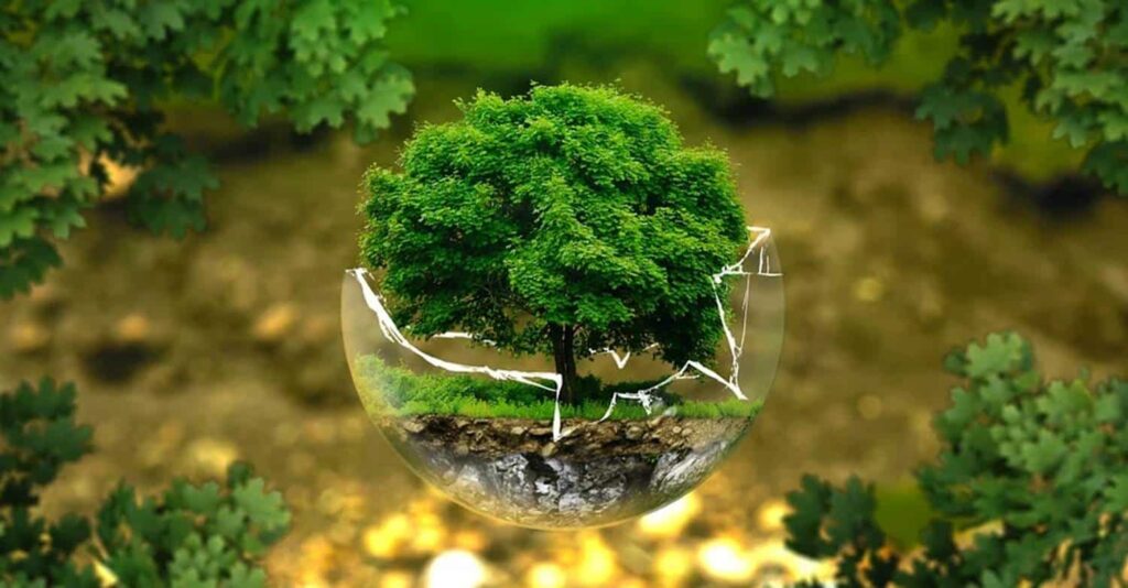 Mengapa Penting Menjaga Ekosistem Biodiversitas?