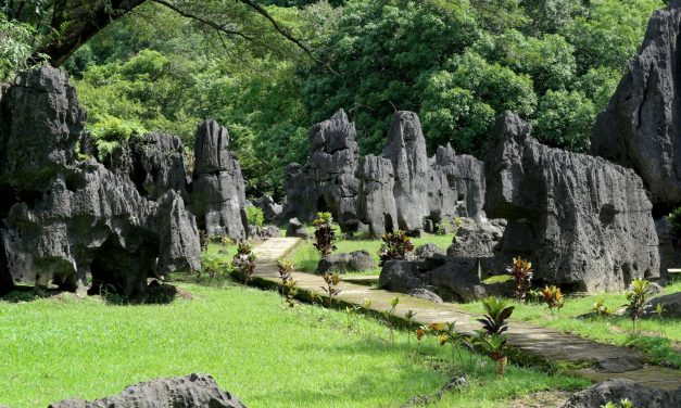 Taman Leang Leang Merupakan Subjek Penelitian Internasional