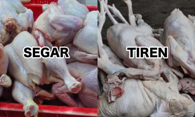 Waspada Saat Membeli Ayam Untuk Di Konsumsi Setiap Hari