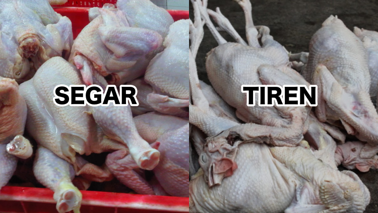 Waspada Saat Membeli Ayam Untuk Di Konsumsi Setiap Hari
